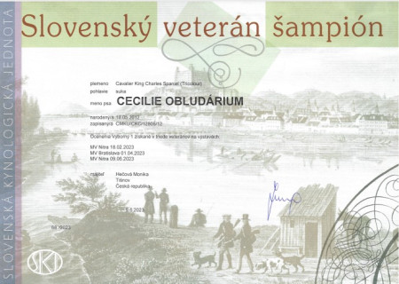 Slovenský veterán Champ